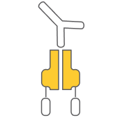 Icon representing IGF-1R